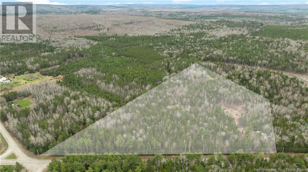 599 Parkindale Road, Parkindale, New Brunswick  E4Z 3B2 - Photo 18 - NB117131