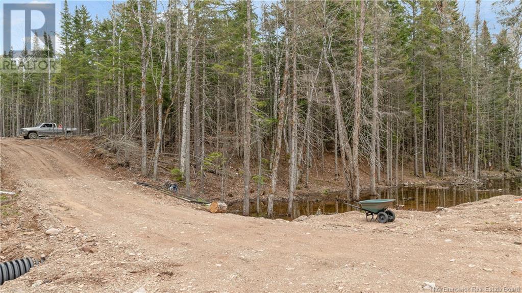 599 Parkindale Road, Parkindale, New Brunswick  E4Z 3B2 - Photo 4 - NB117131