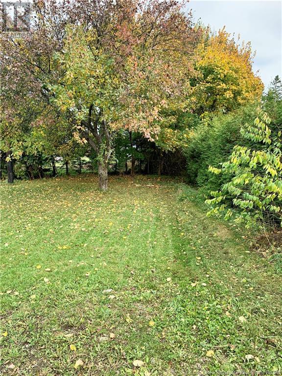 453 Chaleur, Charlo, New Brunswick  E8E 2B9 - Photo 30 - NB117852