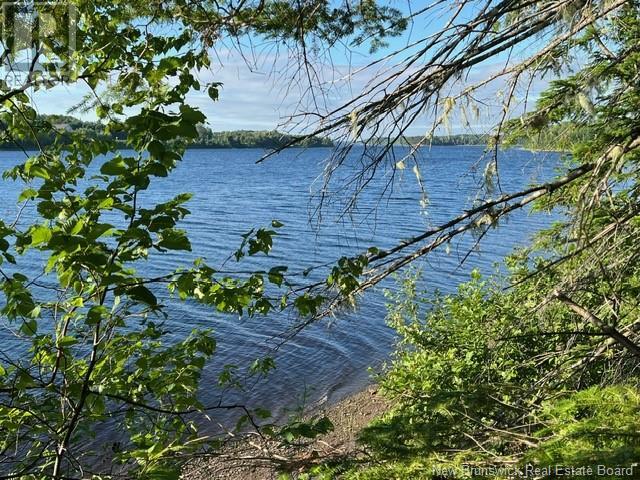 None Route 118, Nelson, New Brunswick  E9E 2H1 - Photo 3 - NB118048