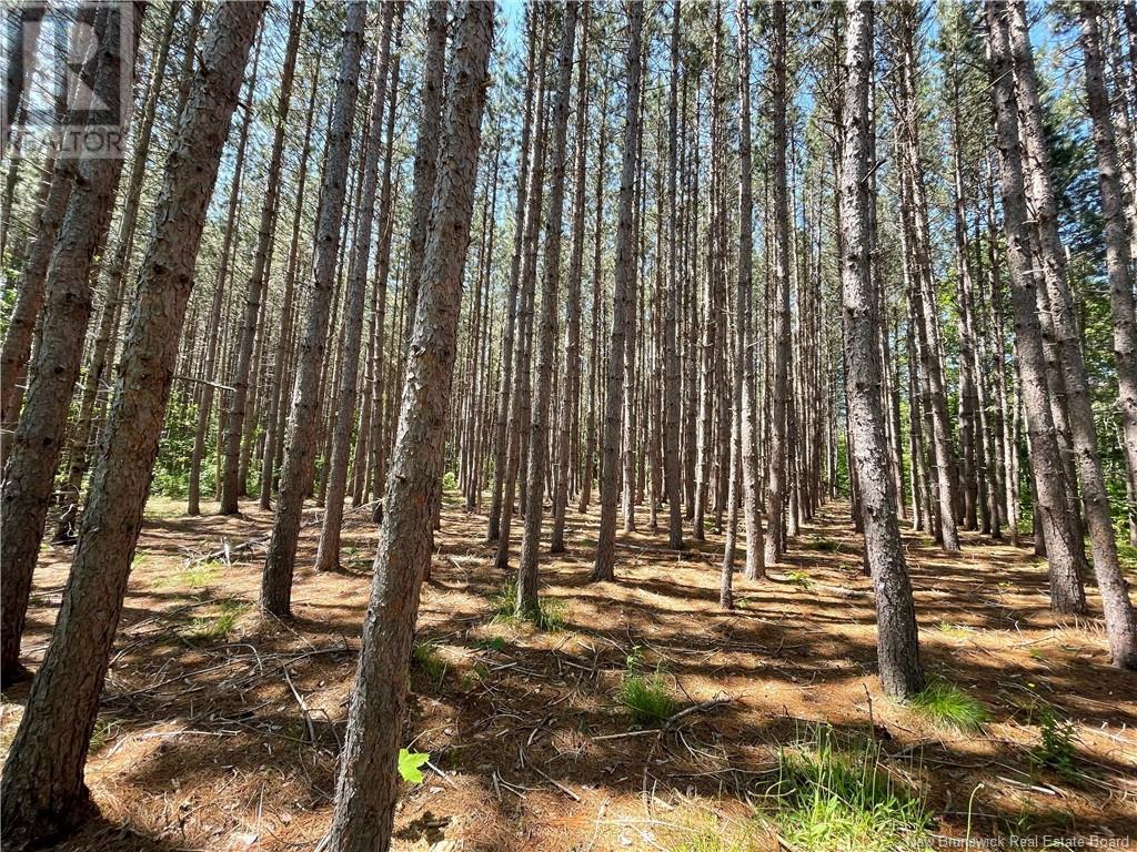 Lot 24-4 Cox Point Road, Cumberland Bay, New Brunswick  E4A 2Y8 - Photo 2 - NB118077