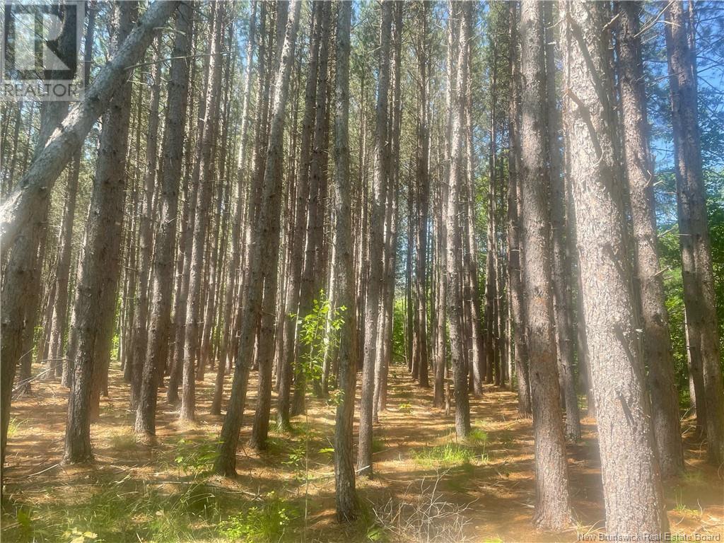 Lot 24-4 Cox Point Road, Cumberland Bay, New Brunswick  E4A 2Y8 - Photo 3 - NB118077
