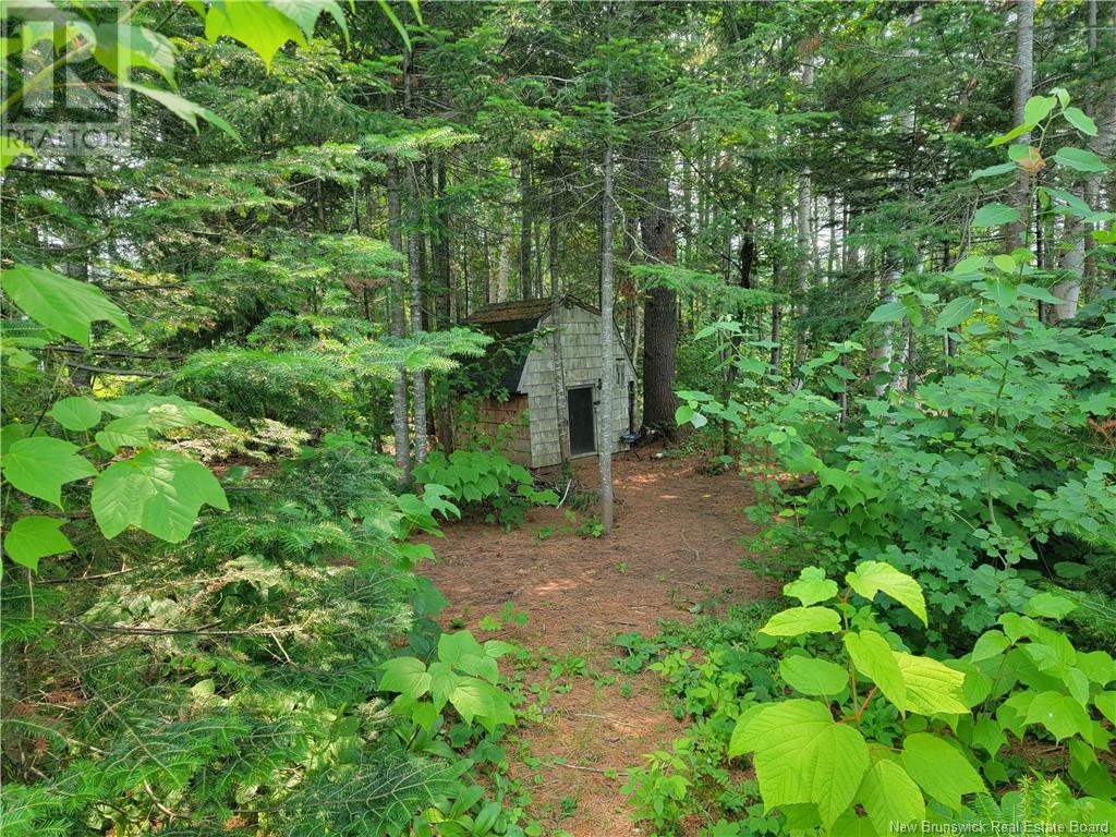 1935 Palmer, Bathurst, New Brunswick  E2A 4X7 - Photo 44 - NB118034
