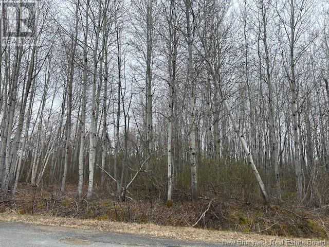 90-20 Orion Drive, Big River, New Brunswick  E2A 6R1 - Photo 2 - NB117628