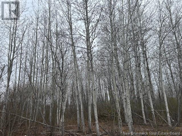 90-20 Orion Drive, Big River, New Brunswick  E2A 6R1 - Photo 3 - NB117628