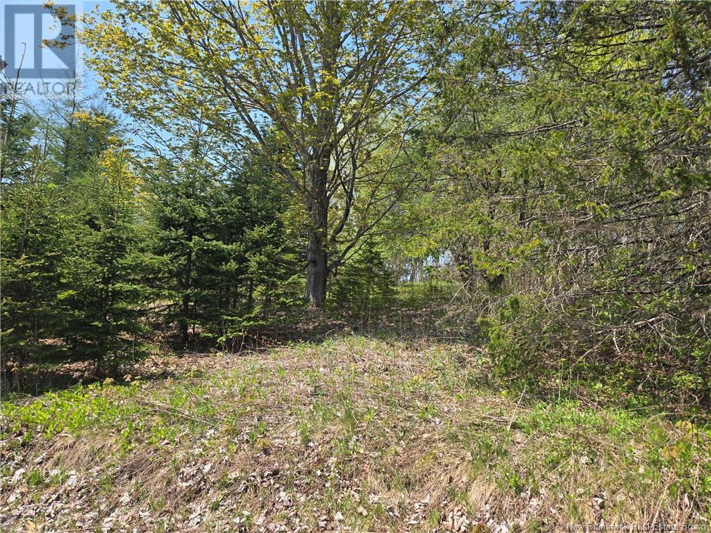 329 Clements Drive, Fredericton, New Brunswick  E3G 7J1 - Photo 17 - NB116784