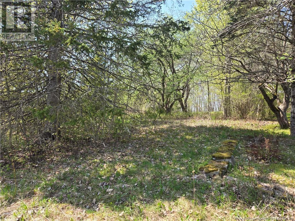 329 Clements Drive, Fredericton, New Brunswick  E3G 7J1 - Photo 18 - NB116784