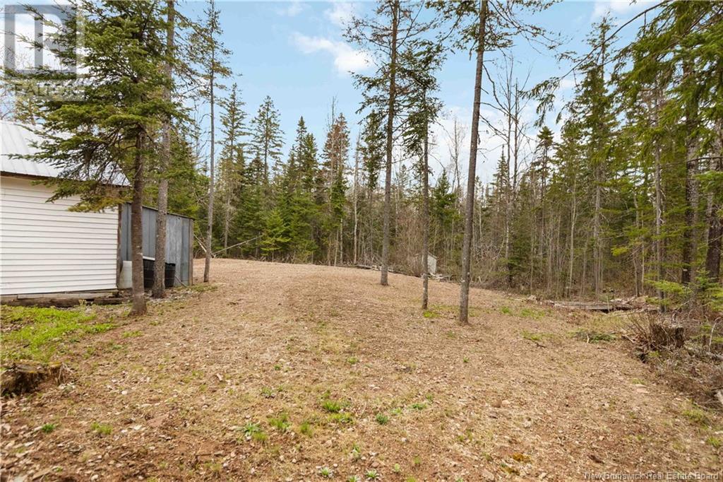 16 Thorne Brook Road, Havelock, New Brunswick  E4Z 0G2 - Photo 12 - NB116037