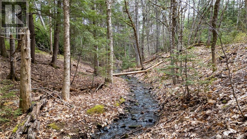 2460 Route 510, Targettville, New Brunswick  E4T 1V6 - Photo 2 - NB117907