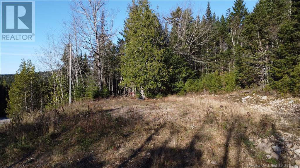 2414 Route 845, Bayswater, New Brunswick  E5S 1M3 - Photo 11 - NB118143