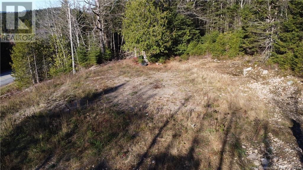 2414 Route 845, Bayswater, New Brunswick  E5S 1M3 - Photo 12 - NB118143