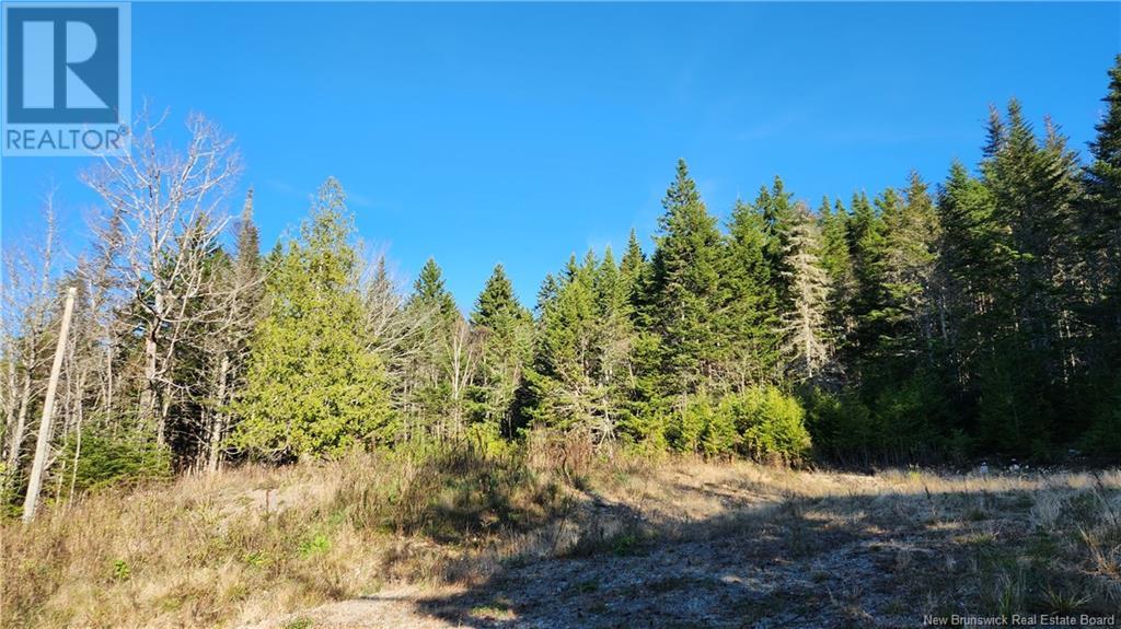 2414 Route 845, Bayswater, New Brunswick  E5S 1M3 - Photo 3 - NB118143