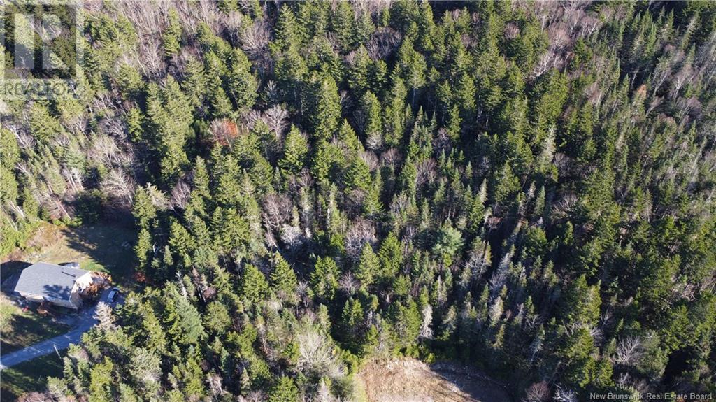 2414 Route 845, Bayswater, New Brunswick  E5S 1M3 - Photo 7 - NB118143