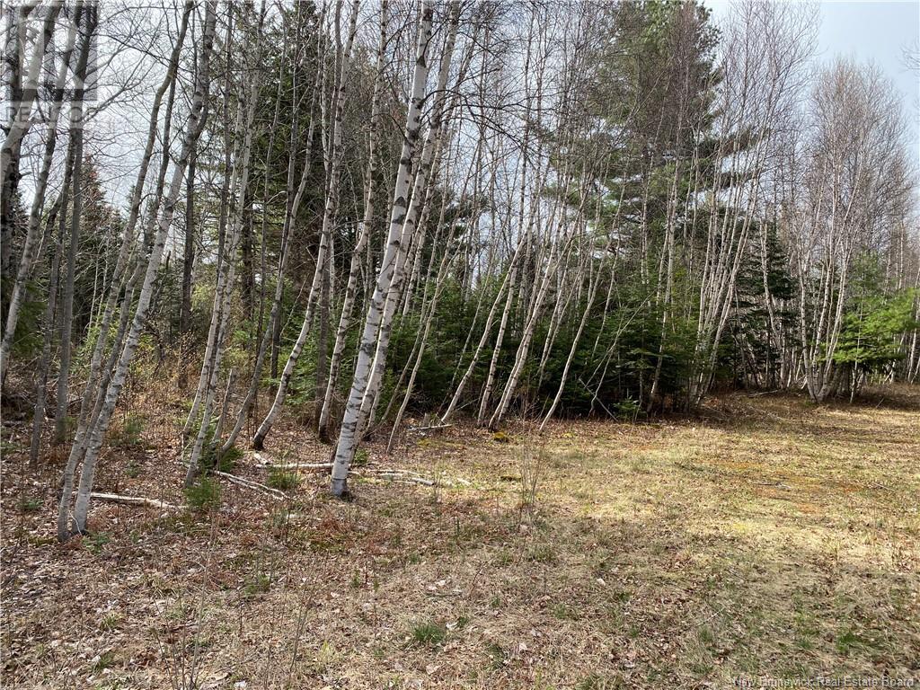 Lot Route 505, Richibouctou-Village, New Brunswick  E4W 1R6 - Photo 10 - NB118153