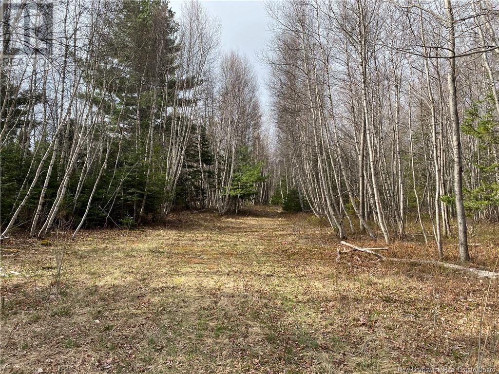 Lot Route 505, Richibouctou-Village, New Brunswick  E4W 1R6 - Photo 11 - NB118153