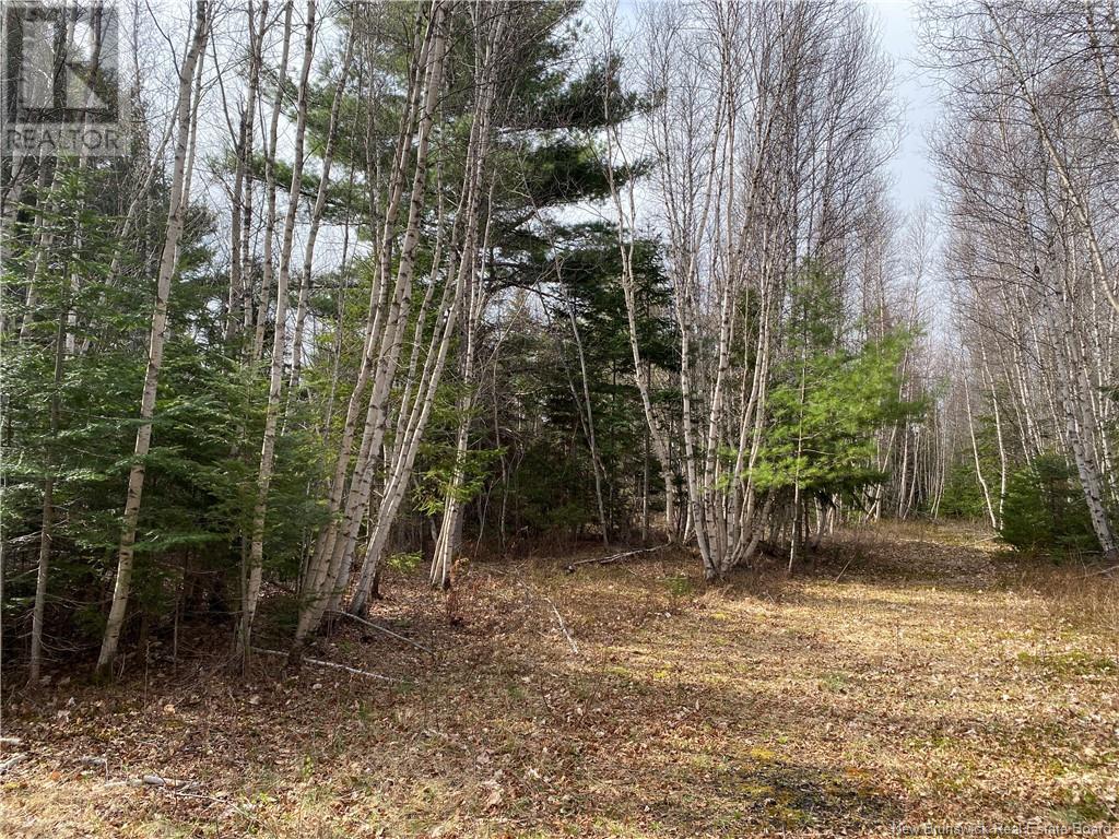 Lot Route 505, Richibouctou-Village, New Brunswick  E4W 1R6 - Photo 13 - NB118153