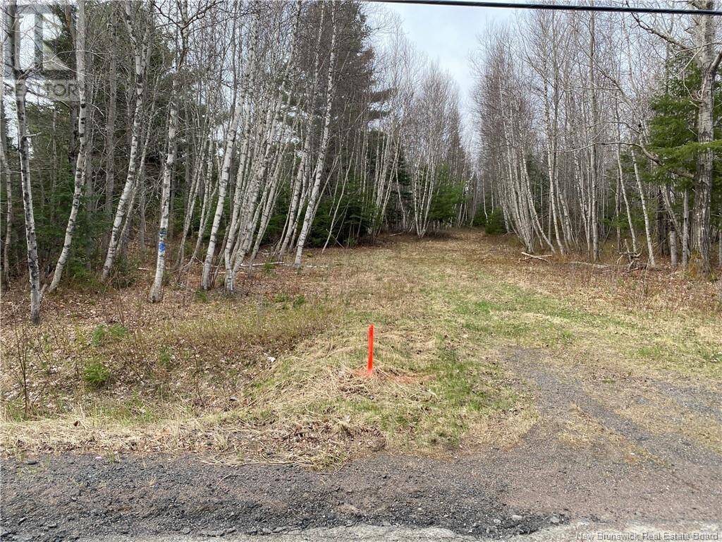 Lot Route 505, Richibouctou-Village, New Brunswick  E4W 1R6 - Photo 4 - NB118153