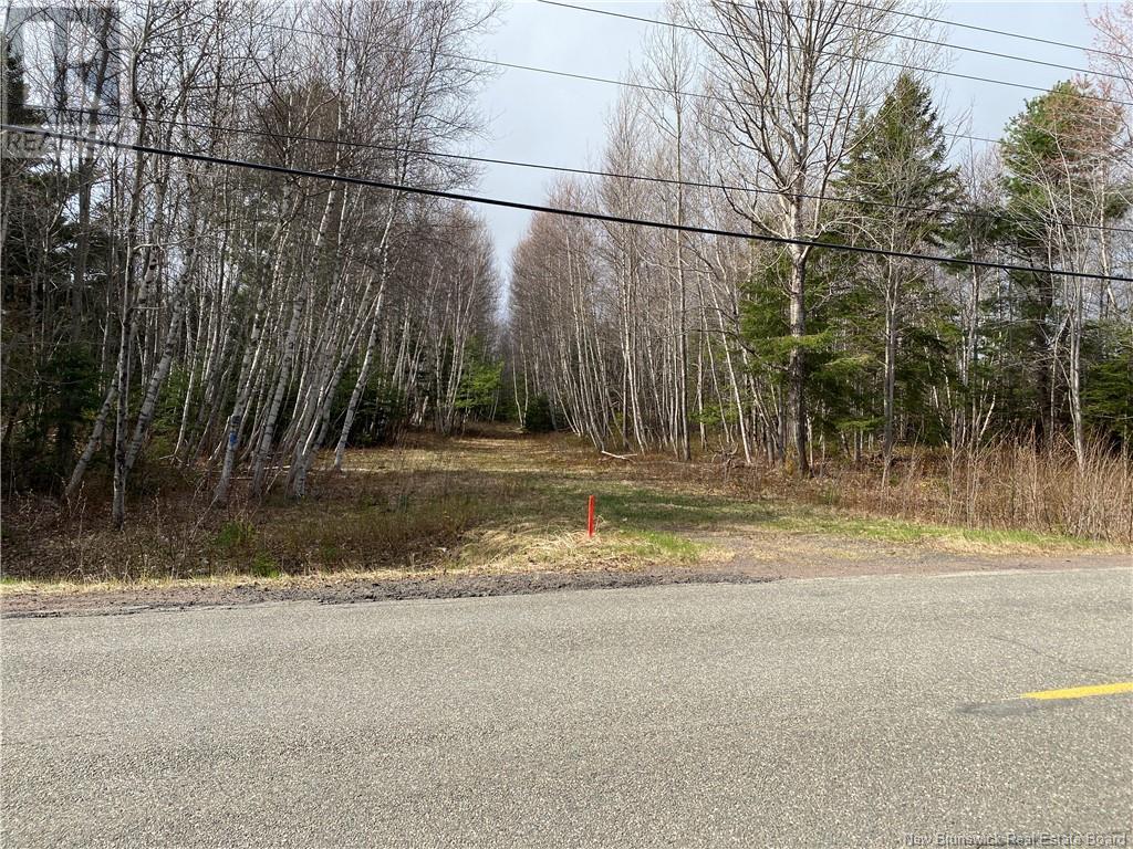 Lot Route 505, Richibouctou-Village, New Brunswick  E4W 1R6 - Photo 5 - NB118153