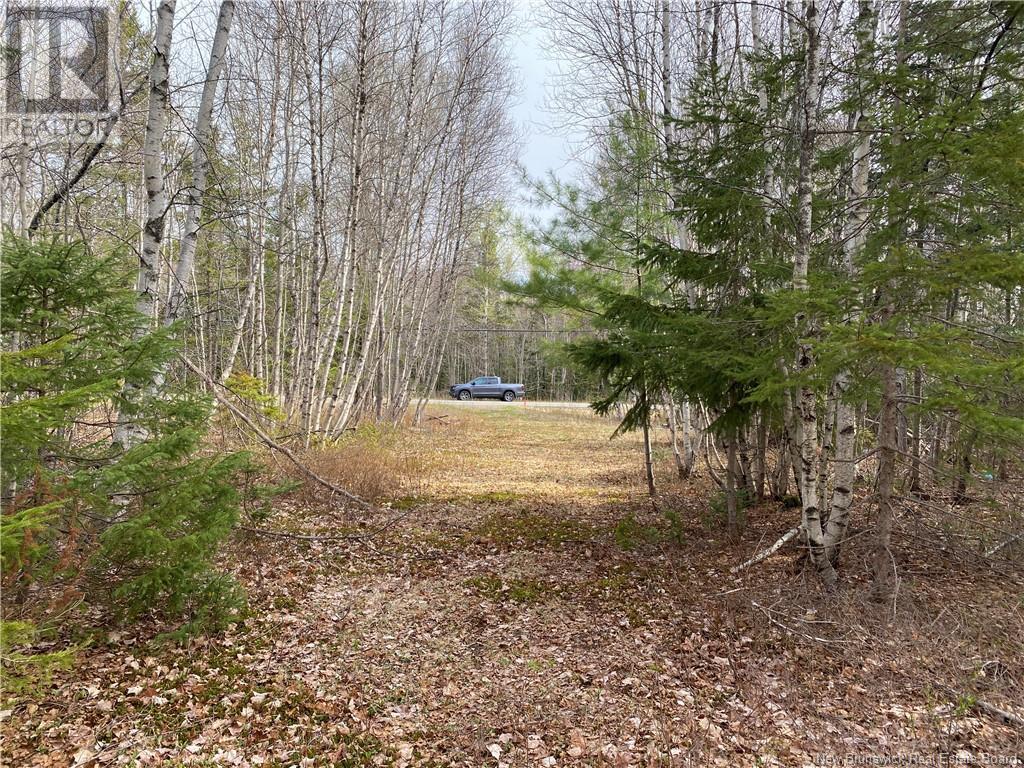 Lot Route 505, Richibouctou-Village, New Brunswick  E4W 1R6 - Photo 6 - NB118153