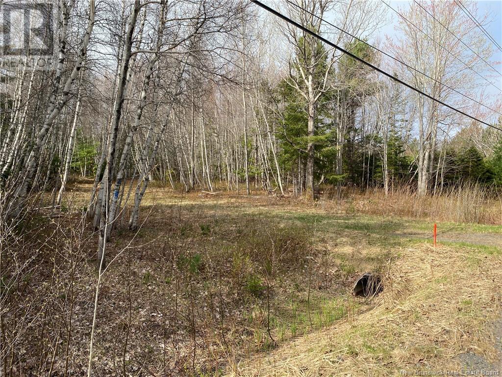 Lot Route 505, Richibouctou-Village, New Brunswick  E4W 1R6 - Photo 7 - NB118153
