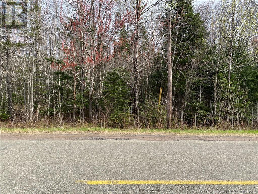 Lot Route 505, Richibouctou-Village, New Brunswick  E4W 1R6 - Photo 9 - NB118153