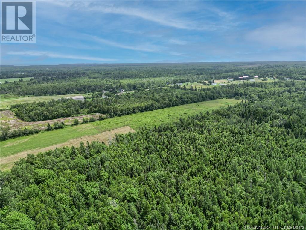 872 Route 955, Murray Corner, New Brunswick  E4M 3L2 - Photo 40 - NB118017