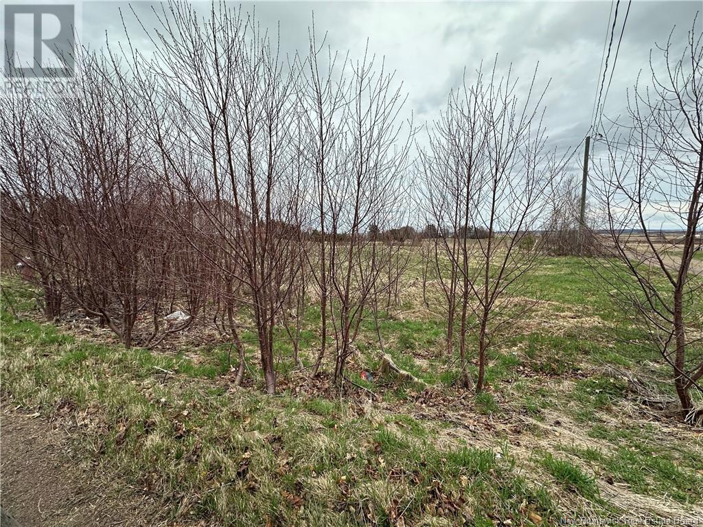 Lot Stephens Drive, Sackville, New Brunswick  E4L 1J5 - Photo 1 - NB117967