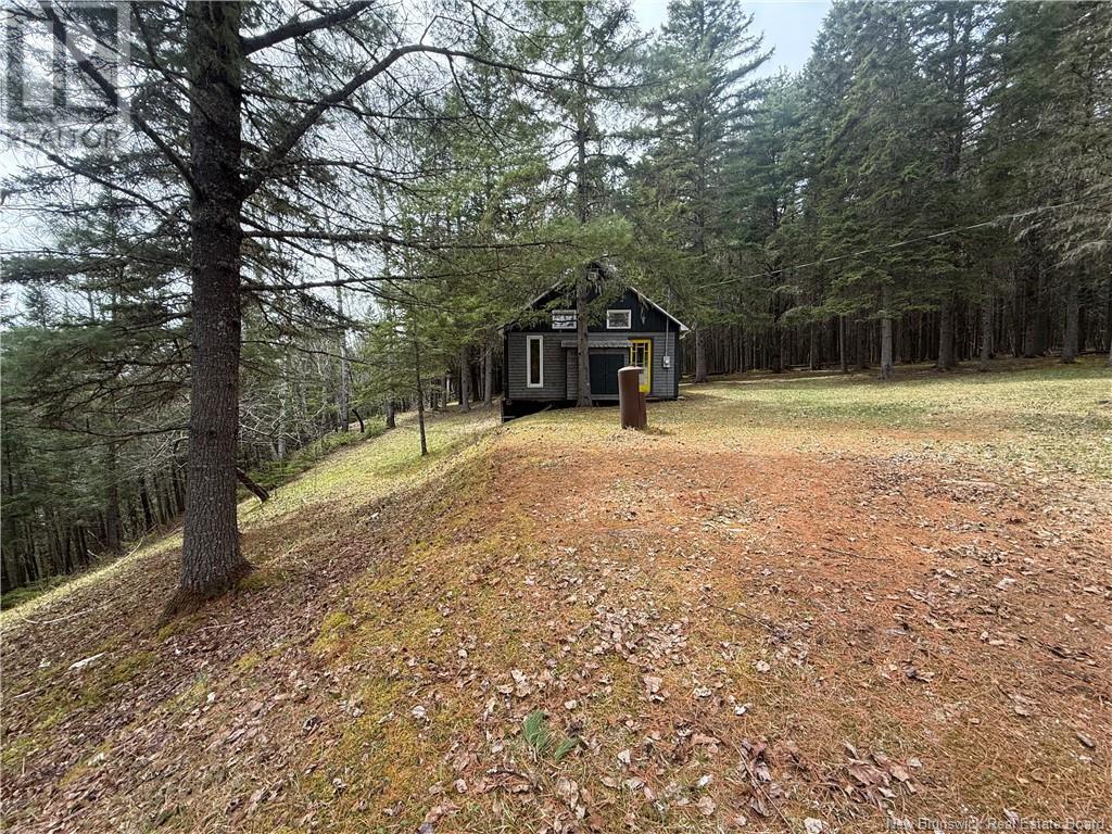 1194 Route 385, Oxbow, New Brunswick  E7G 3L8 - Photo 19 - NB118173