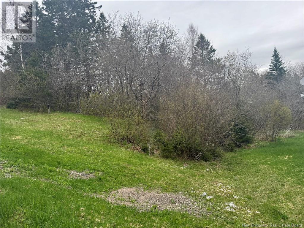 2322 Route 860, Salt Springs, New Brunswick  E5N 4C6 - Photo 21 - NB118180