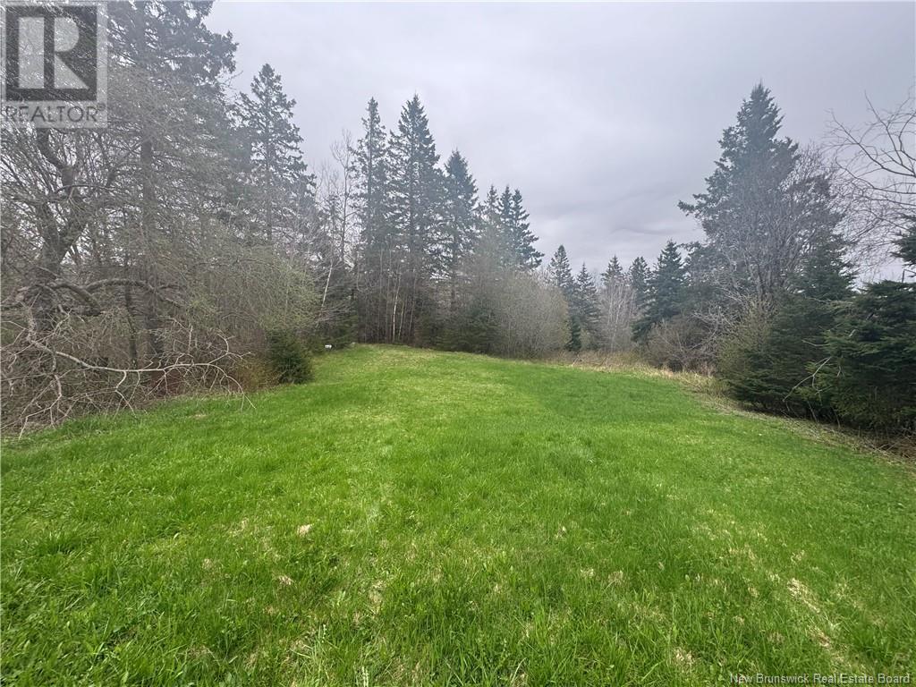 2322 Route 860, Salt Springs, New Brunswick  E5N 4C6 - Photo 22 - NB118180