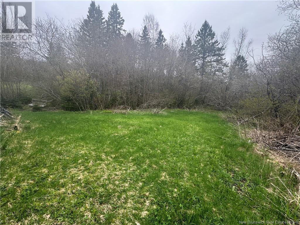 2322 Route 860, Salt Springs, New Brunswick  E5N 4C6 - Photo 23 - NB118180