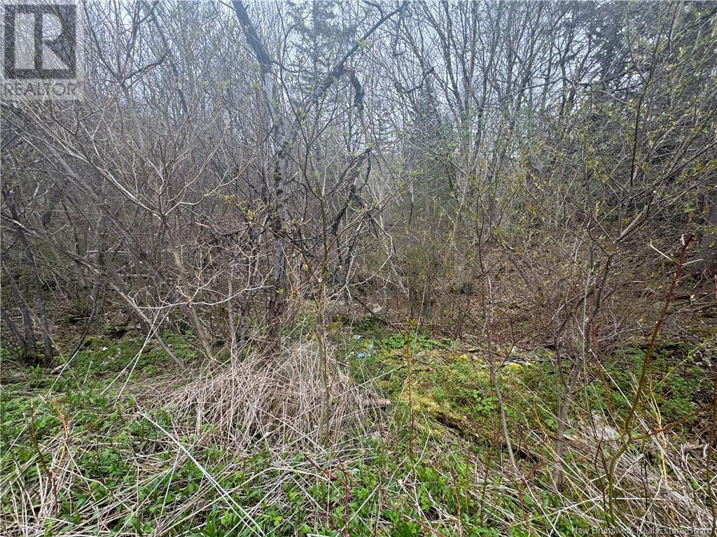 2322 Route 860, Salt Springs, New Brunswick  E5N 4C6 - Photo 24 - NB118180