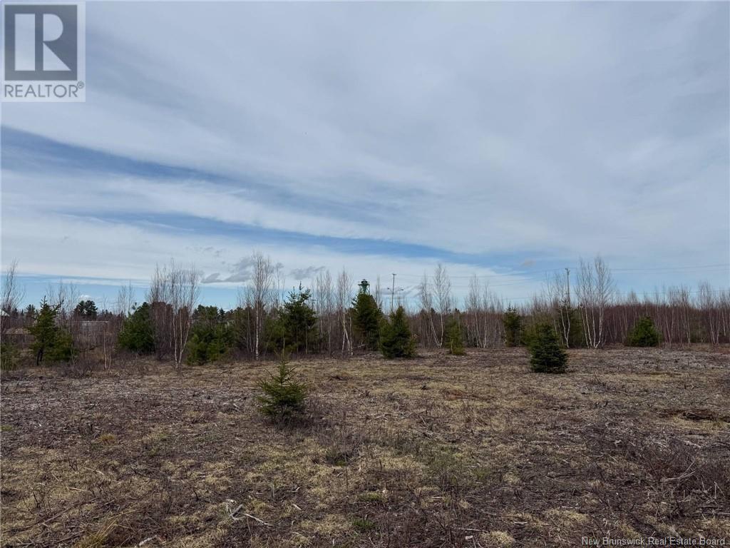 50 Acres Main Street, Blackville, New Brunswick  E1V 6A3 - Photo 35 - NB118248