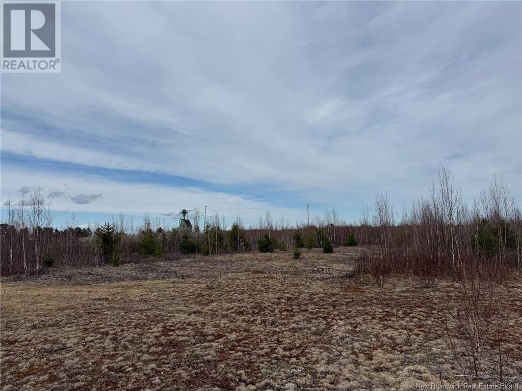 50 Acres Main Street, Blackville, New Brunswick  E1V 6A3 - Photo 38 - NB118248
