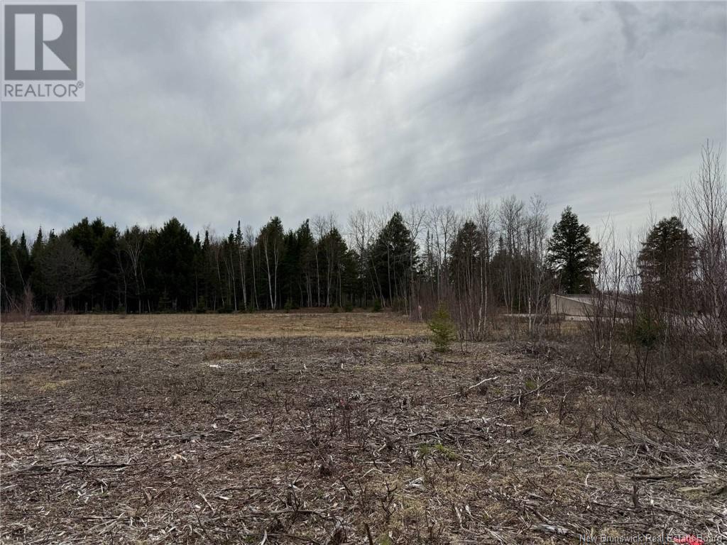 50 Acres Main Street, Blackville, New Brunswick  E1V 6A3 - Photo 39 - NB118248