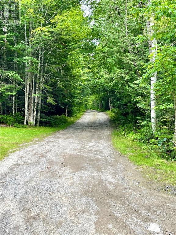 35 Barter Lane, Fosterville, New Brunswick  E6H 1X3 - Photo 38 - NB118244