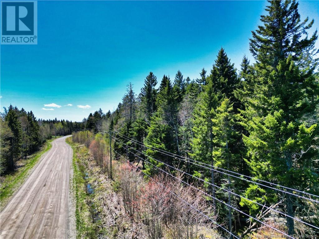 85-197 & 85-198 Harbour Heights Drive, Welshpool, New Brunswick  E5E 1H6 - Photo 1 - NB118206