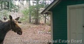 0 Charlie Lake Road, Charlie Lake, New Brunswick  E6H 1G4 - Photo 14 - NB118283