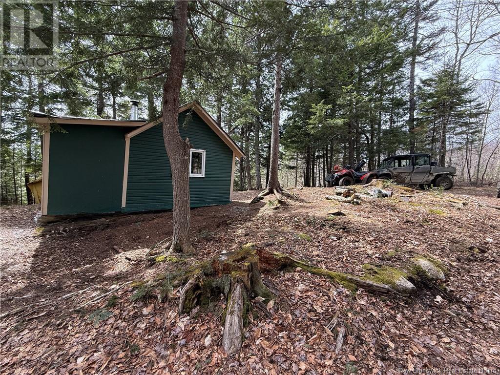 0 Charlie Lake Road, Charlie Lake, New Brunswick  E6H 1G4 - Photo 4 - NB118283