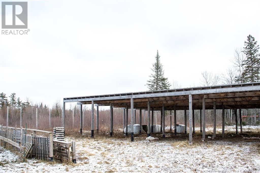 10232 Route 10, Youngs Cove, New Brunswick  E4C 4N5 - Photo 12 - NB118292