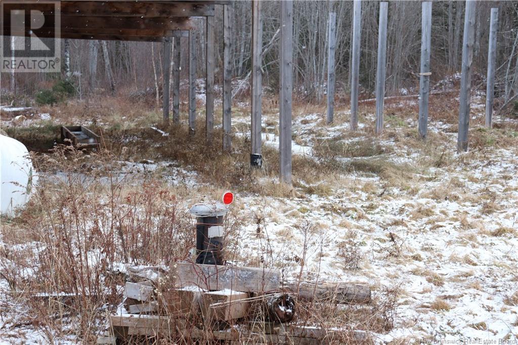 10232 Route 10, Youngs Cove, New Brunswick  E4C 4N5 - Photo 17 - NB118292