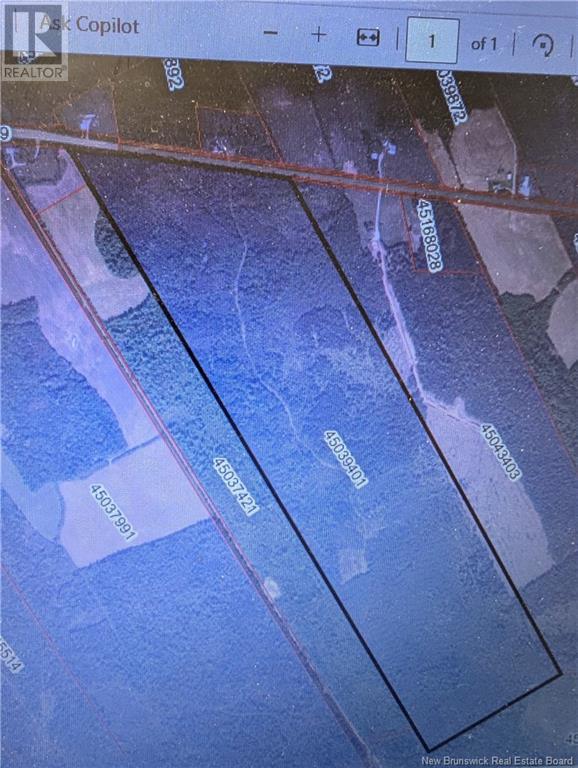 10232 Route 10, Youngs Cove, New Brunswick  E4C 4N5 - Photo 2 - NB118292