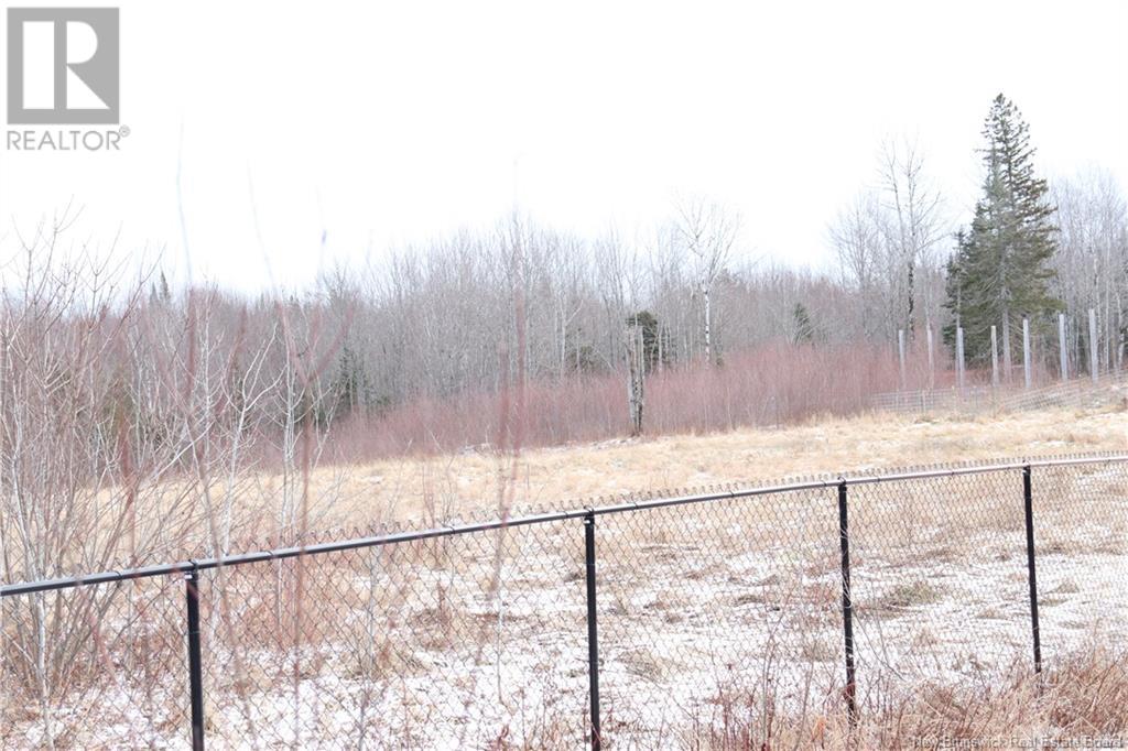 10232 Route 10, Youngs Cove, New Brunswick  E4C 4N5 - Photo 21 - NB118292