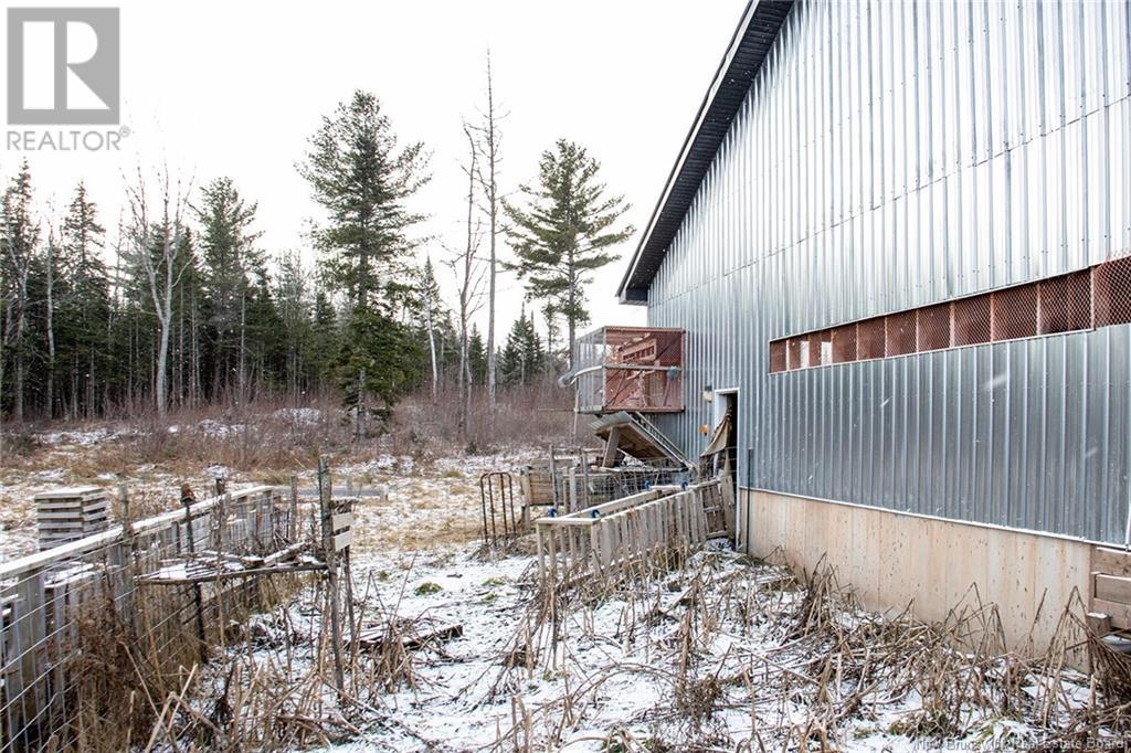 10232 Route 10, Youngs Cove, New Brunswick  E4C 4N5 - Photo 8 - NB118292
