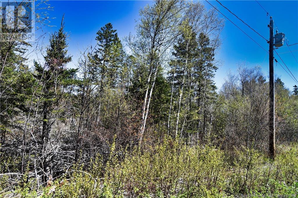 86-39 & 86-40 Mitchell Court, Welshpool, New Brunswick  E5E 1H6 - Photo 12 - NB118277