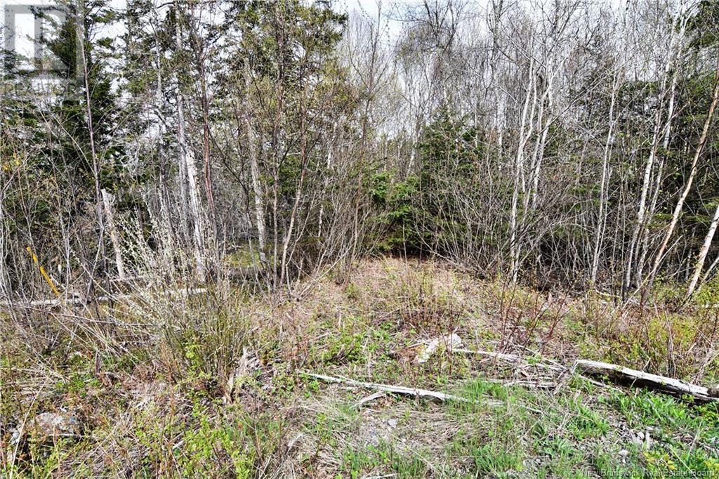 86-39 & 86-40 Mitchell Court, Welshpool, New Brunswick  E5E 1H6 - Photo 17 - NB118277