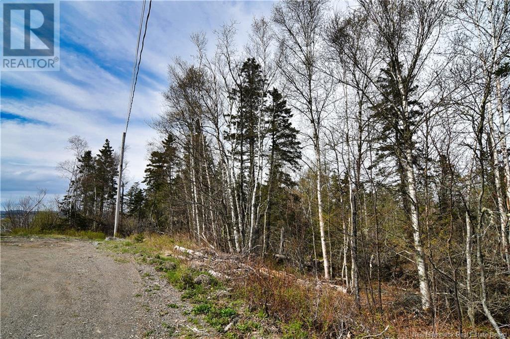 86-39 & 86-40 Mitchell Court, Welshpool, New Brunswick  E5E 1H6 - Photo 18 - NB118277