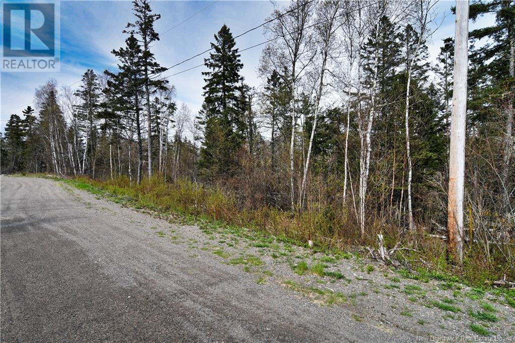 86-39 & 86-40 Mitchell Court, Welshpool, New Brunswick  E5E 1H6 - Photo 19 - NB118277