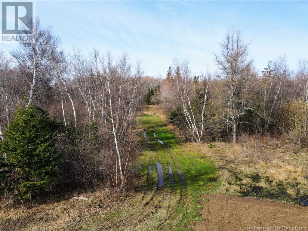 179 Ch De La Cote Road, Grande-Digue, New Brunswick  E4R 1W8 - Photo 18 - NB117124