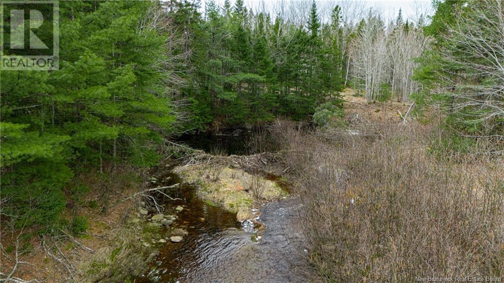 Land Post Road, Rusagonis, New Brunswick  E3B 0O0 - Photo 16 - NB118316